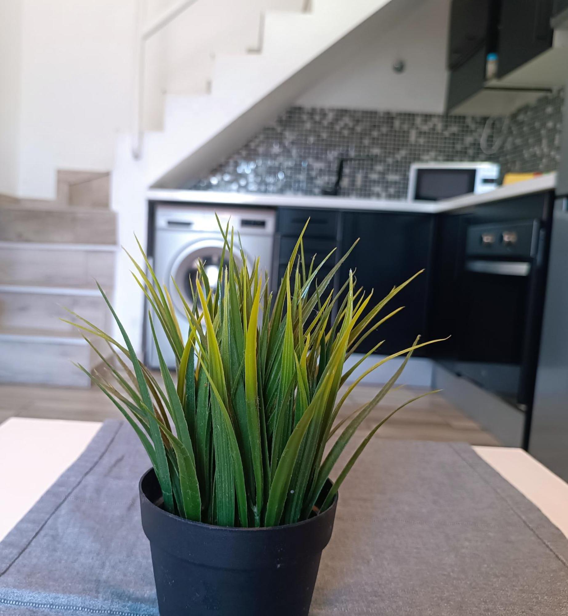 Bungalow Dunaflor Wifi Maspalomas  Ngoại thất bức ảnh